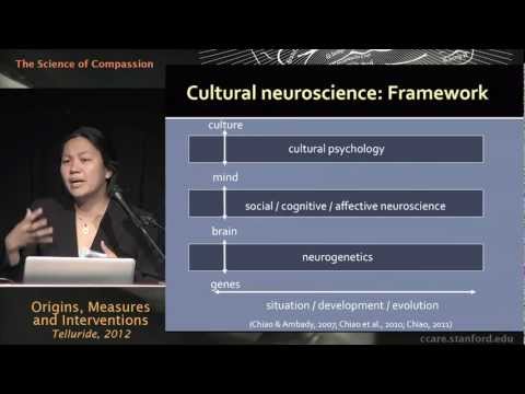 The Science of Compassion: Origins, Measures, and Interventions - Joan Chiao, Ph.D.