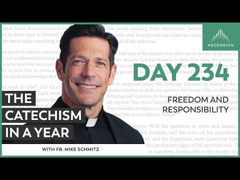 Day 234: Freedom and Responsibility — The Catechism in a Year (with Fr. Mike Schmitz)