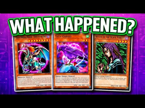 What Happened To Yata Garasu?