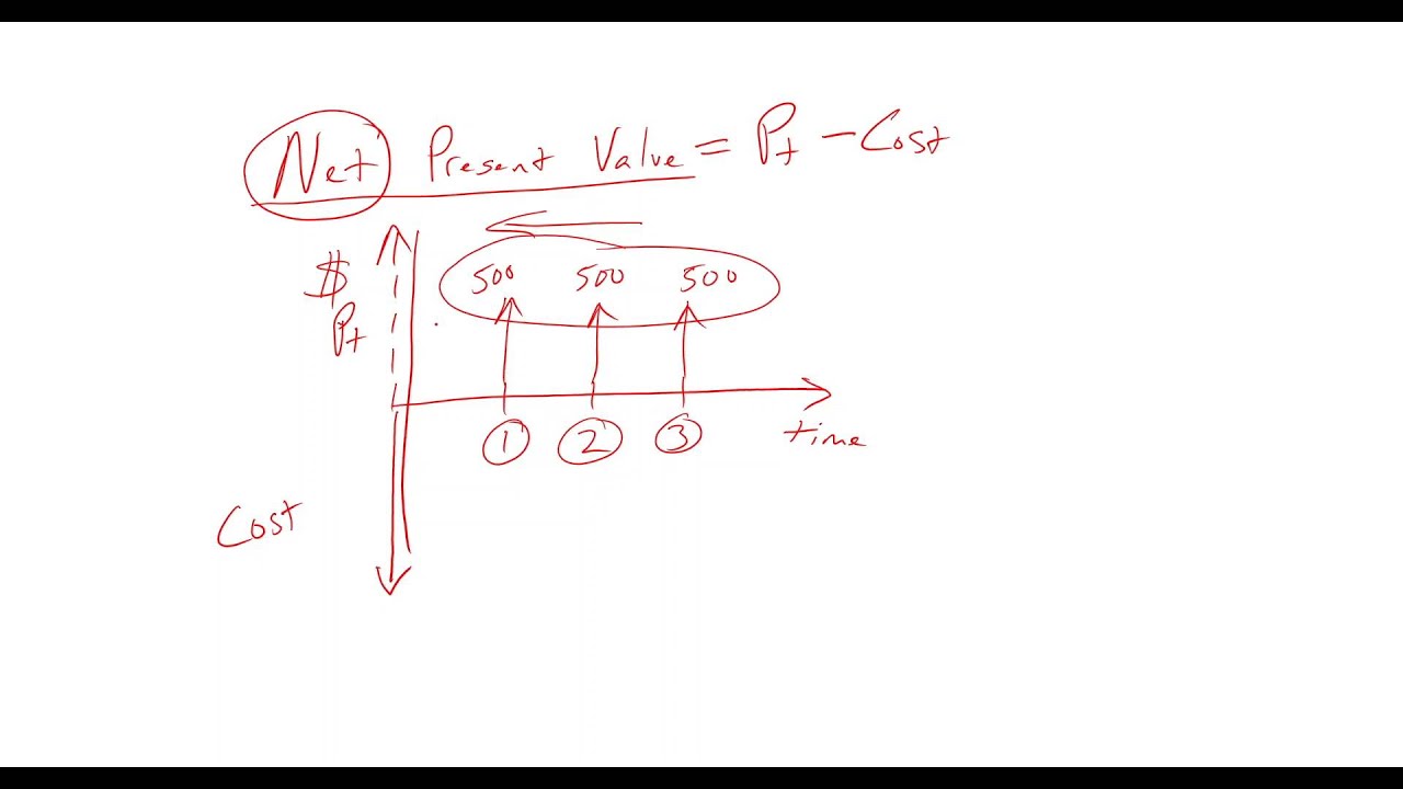 Net Present Value Concept (Free Sample)