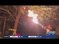 Termite Terminator: Louisiana man exterminates swarm of termites with blow torch