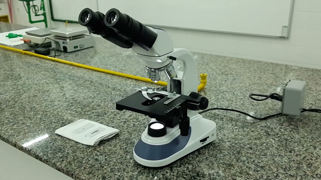 Videoaula 3 - Coloração de Gram e Visualização em Microscópio