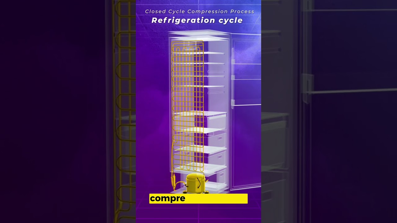 The 5 Main Components of a Refrigerator's Cooling System (3D Animation)
