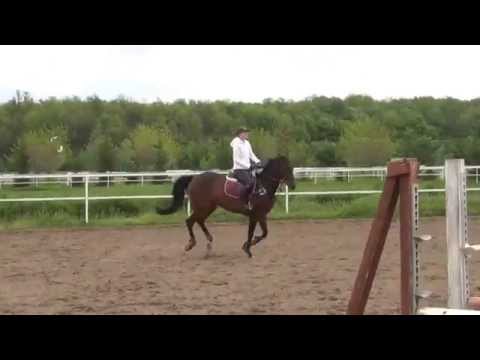 Argento + Lena; Bella - 27-4-14