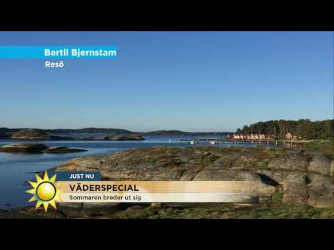 Äntligen, sommaren breder ut sig i hela landet! - Nyhetsmorgon (TV4)