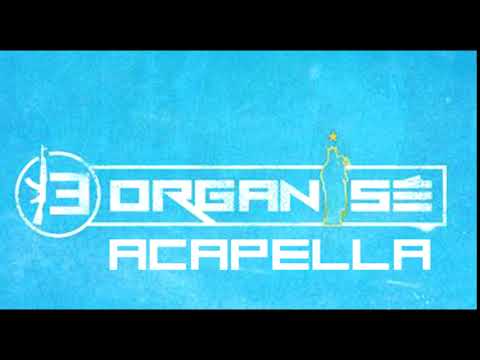 Acapella-13 Organisé-L'étoile sur le maillot ft.L'Algérino,Alonzo,Stone Black,Le Rat Luciano,SCH,Jul