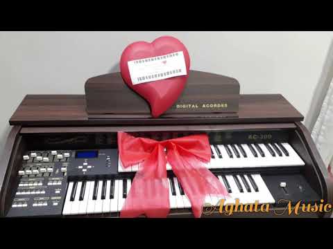 Órgão Eletrônico Digital Acordes AC300 - Aghata Music