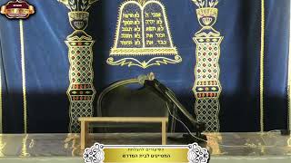 בית המדרש "תורת דוד" ¤ לעילוי נשמת זיוה בת יהודית מזרחי ע"ה ¤ כ' אב תשפ"ה (14.8.2024) (מוסדות תורת דוד) - התמונה מוצגת ישירות מתוך אתר האינטרנט יוטיוב. זכויות היוצרים בתמונה שייכות ליוצרה. קישור קרדיט למקור התוכן נמצא בתוך דף הסרטון