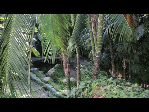 565 Perugia Way | Bel Air - The Agency