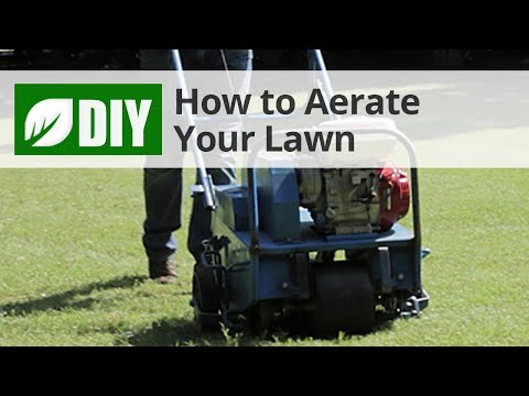  How to Core Aerate Your Lawn - Lawn Aeration Tips Video 