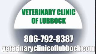 Veterinary Clinic of Lubbock