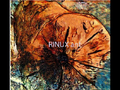 #STML-RINUX ant