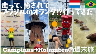 マラソンの後はブラジルのオランダ!? Campinas→Holambraの週末旅/サンパウロ旅