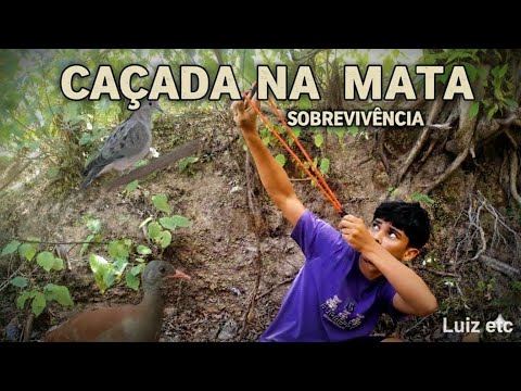 Baladeira simples e fácil de fazer na prática nordestina