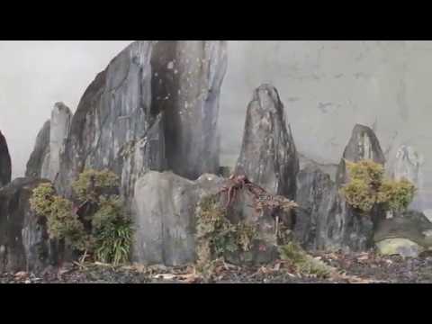 Botanische tuin Zuidas in Amsterdam