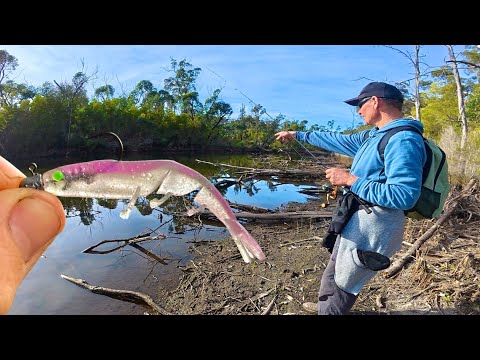 Fishing Prawns In A “SUPER” Skinny Creek