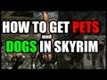 Skyrim : Hearthfire - HOW TO GET PETS 