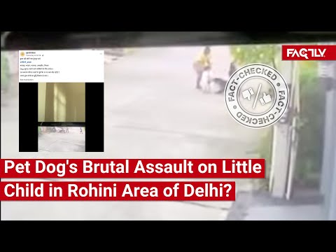 VERIFICACIÓN DE HECHOS: ¿Muestra un video viral el brutal ataque de un perro a un niño pequeño en...