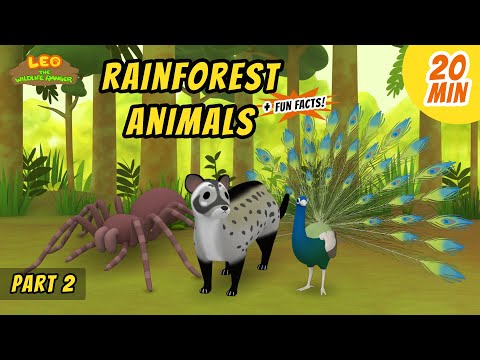 Witness21 Editor  2020 10 29