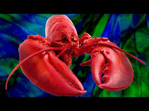 Progressive Rock Mix by Lobster - Volume 06