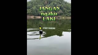 Download lagu status wa story wa kata kata mancing mp3