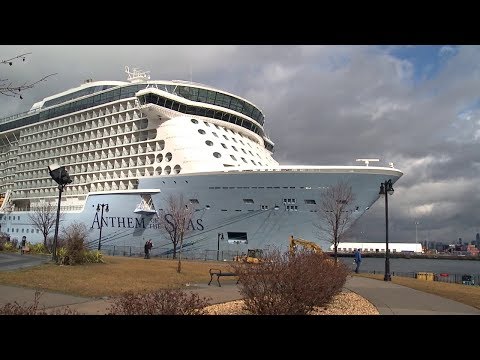 NYC, Coronavirus & Cruise Ships