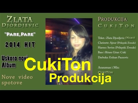 ZLATA PILOSH - PARE PARE - ( OFFICIAL AUDIO) 2014 Novo