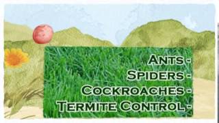 preview picture of video 'Ameritech Pest Haslet TX 817-381-2468 Termite Control 76052'