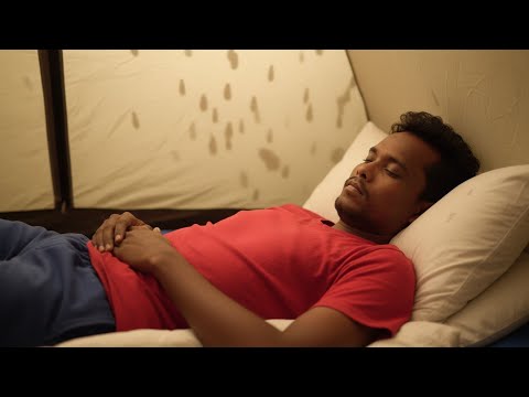 Rainy Forest Solo Camping ASMR 🌧️ Cozy Tent, Fire & Deep Relaxation