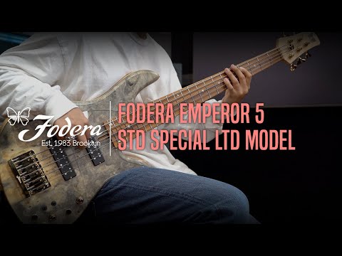Fodera Emperor 5 Standard Special LTD-Buckeye Burl Top w/Pau Ferro Fingerboard & Trans Pickguard image 9