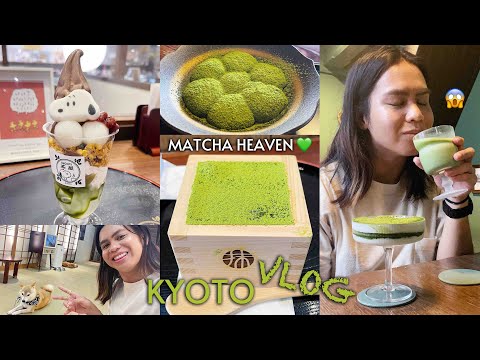 VIAGEM DE COMIDA MATCHA EM KYOTO! Mameshiba Cafe, Gion Komori, SNOOPY CHA-Ya, Maccha House | Japão Vlog #16