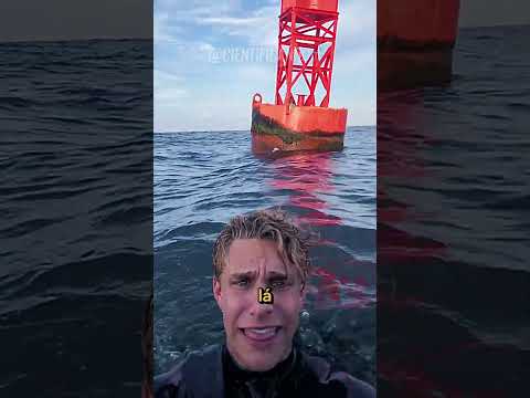 Como ele conseguiu chegar aí!? 😯 #fatoscuriosos #fatosdesconhecidos #curiosidades #vocesabia #fatos