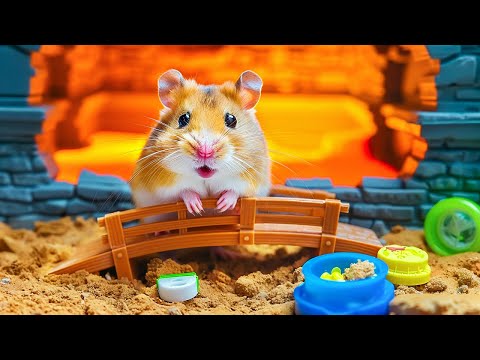 Hamster Escape from the Egyptian Pyramid Maze 🐹🏺 Hamster Maze