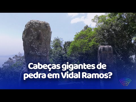 Moais em Santa Catarina? Conheça o mistério das cabeças de pedra de Vidal Ramos
