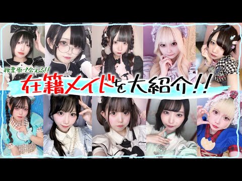【在籍メイド紹介】在籍100人以上!大活躍の可愛いコンカフェ嬢を紹介します