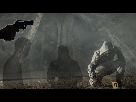 Naten e mire dhe Pac Fat - Ja pse vrasesit i groposin kufomat, ne pyll - 28 Janar 2021 - Vizion Plus