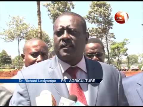 Farming of nut in Kenya on an upward trend