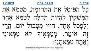 מסכת פרה פרק ח משנה ז