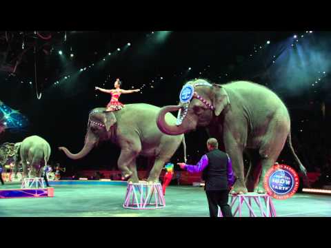 Ringling Bros. Presents LEGENDS - Pachyderm Performers!