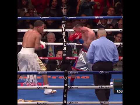 Gervonta Davis stopping José Pedraza