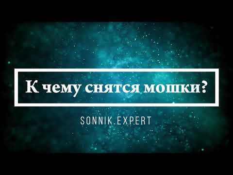 К чему снятся мошки - Онлайн Сонник Эксперт