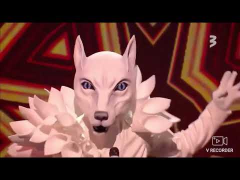 Baltais vilks ar dziesmu Rock Around the Clock.