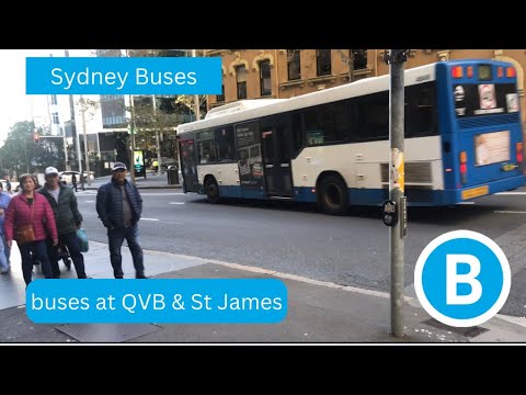 Buses at QVB and St James | vlog#46
