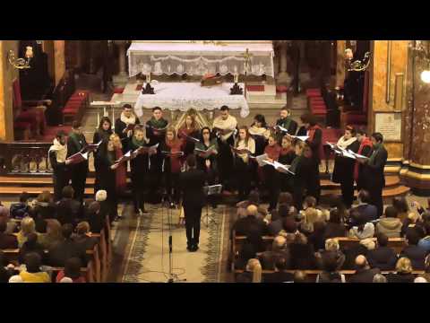 Noapte de craciun - Canticum & Razvan Rados