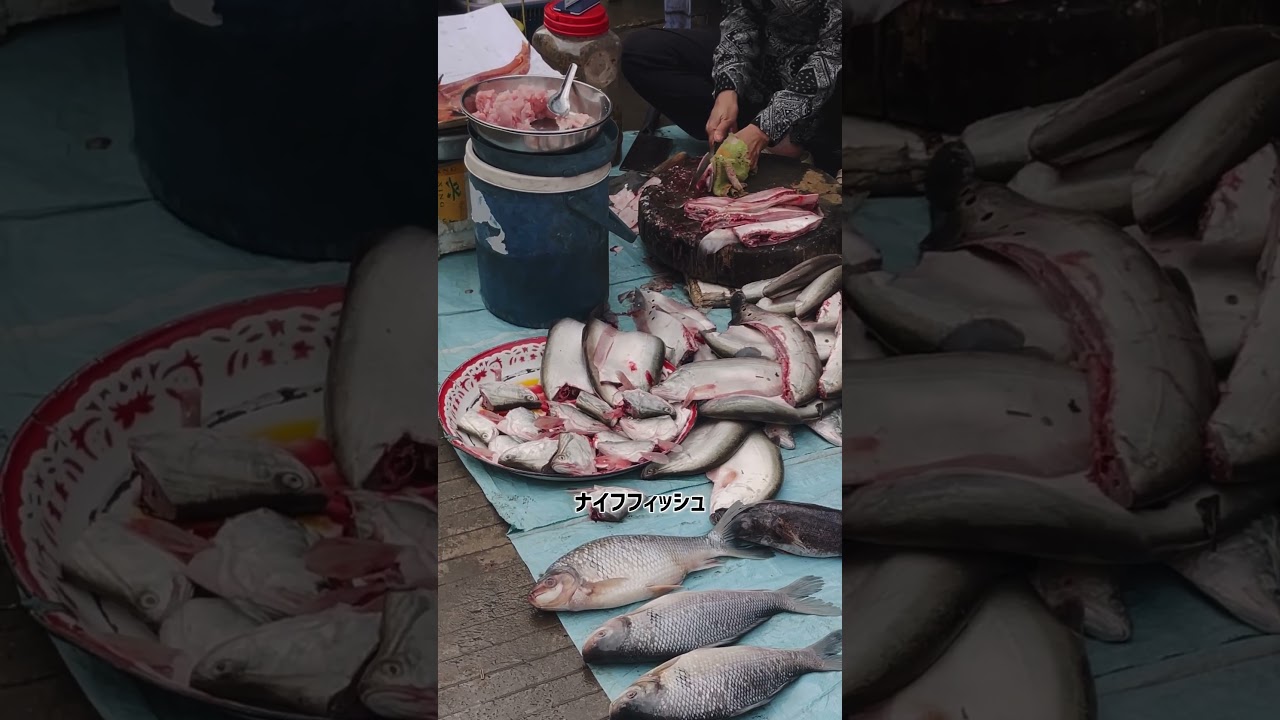 カンボジアの市場探検🇰🇭🧭