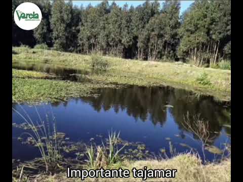 Campo Piedras de Afilar