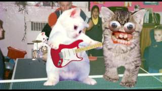 Sweary Kittens sing McLusky - Lightsabre Cocksucking Blues