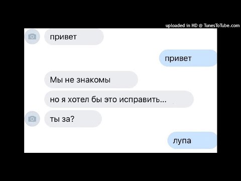 [FREE] Denya8 X LOLIWZ X Hariki X Gitarakuru X whyalive X Hyperpop Type Beat