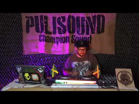 Pulisound 12th Birthday Bashment