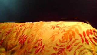 Page France - Spine (Cover)